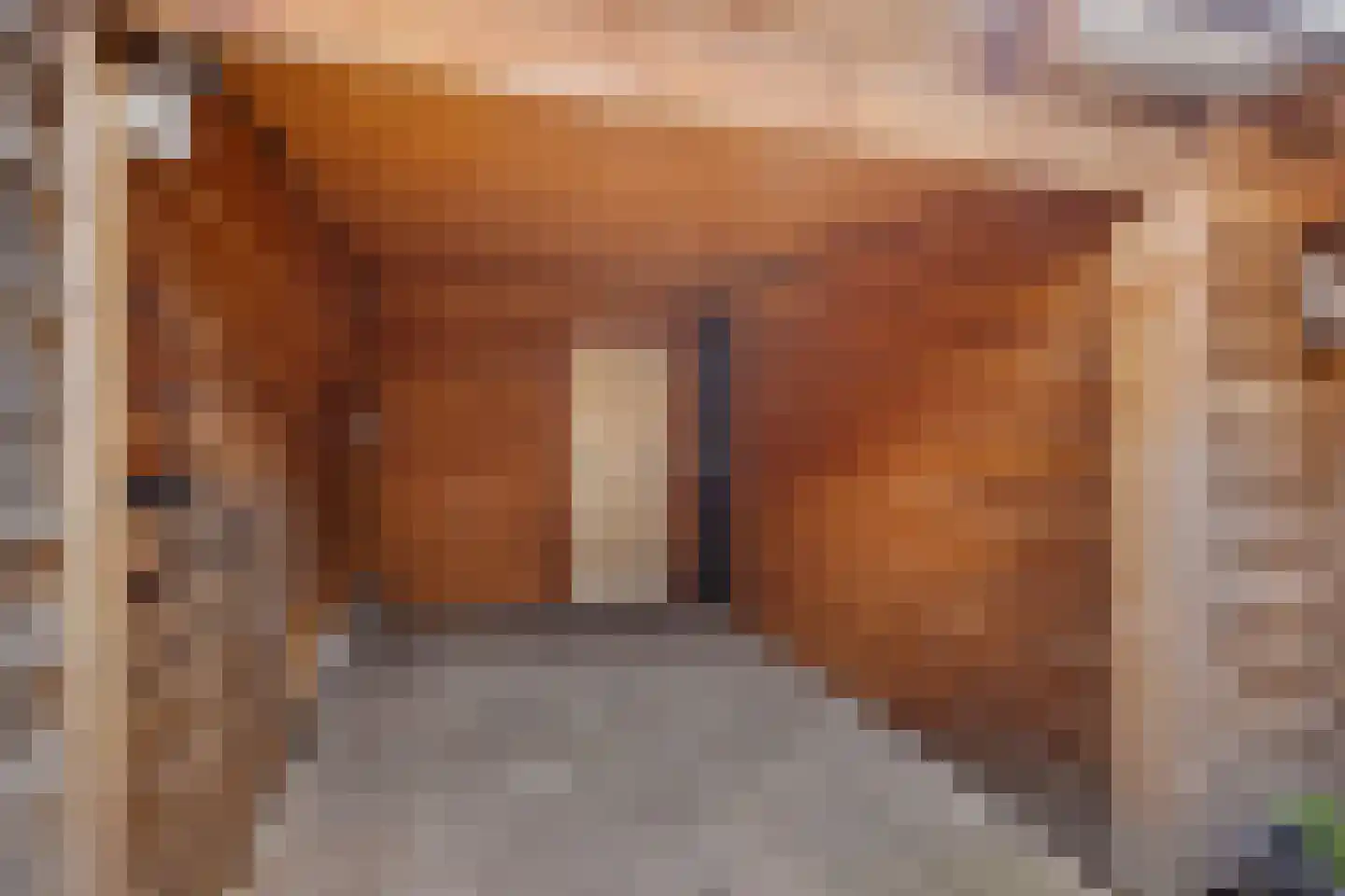 Remorsstraat 7 Enschede thumbnail 30