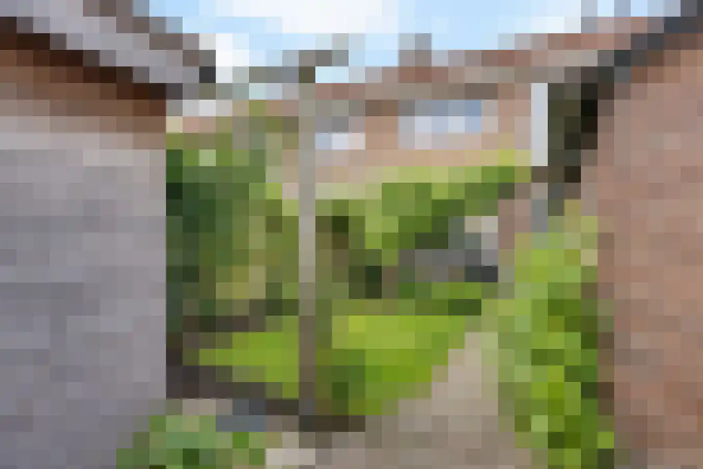 Remorsstraat 7 Enschede thumbnail 4