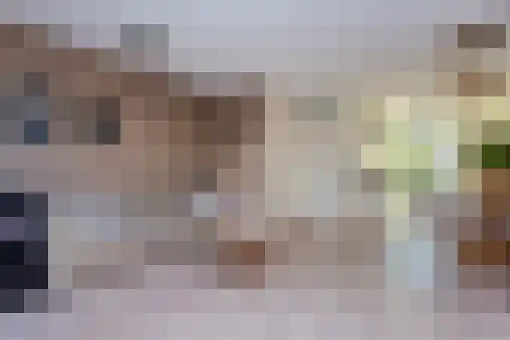 Remus 150 Wijk bij Duurstede thumbnail 11