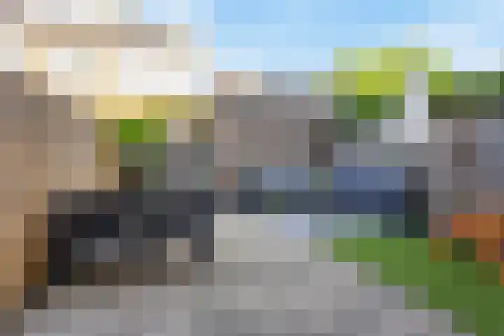 Remus 150 Wijk bij Duurstede thumbnail 14