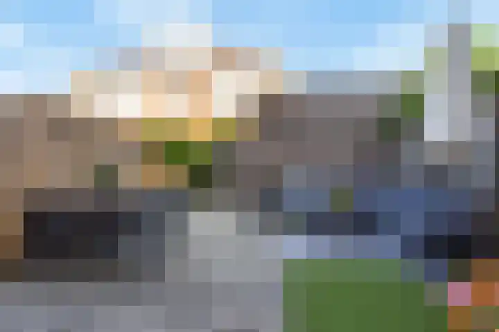 Remus 150 Wijk bij Duurstede thumbnail 15