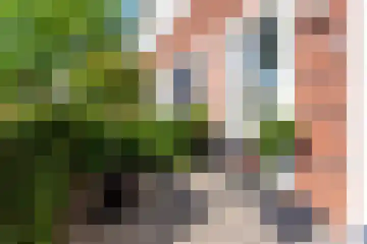Remus 150 Wijk bij Duurstede thumbnail 6