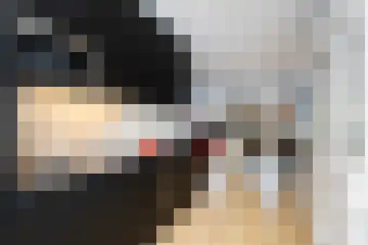 Remus 162 Wijk bij Duurstede thumbnail 11