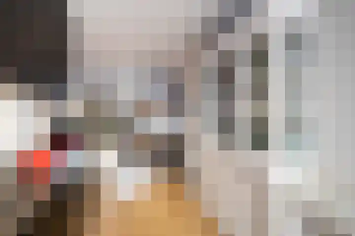 Remus 162 Wijk bij Duurstede thumbnail 12