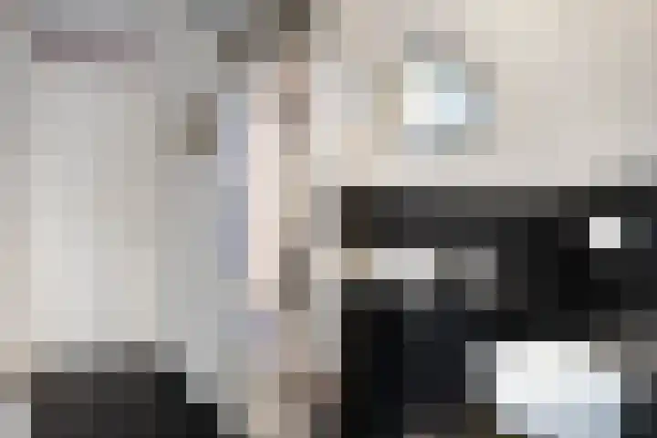 Remus 162 Wijk bij Duurstede thumbnail 14