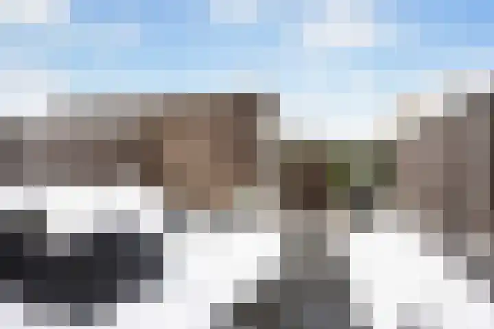 Remus 162 Wijk bij Duurstede thumbnail 16