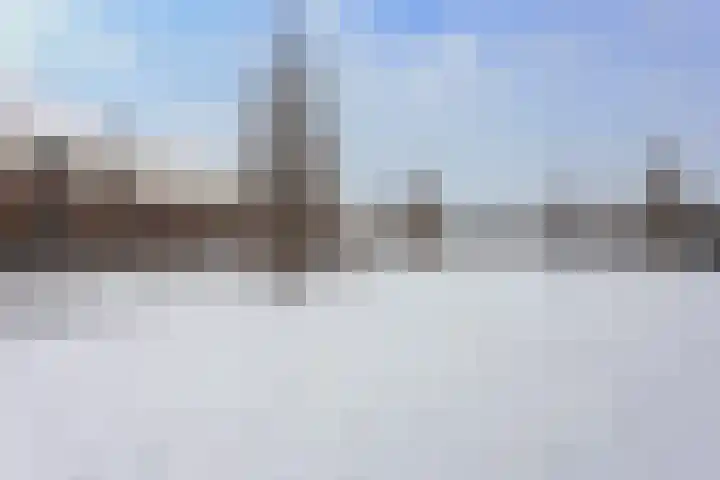 Remus 162 Wijk bij Duurstede thumbnail 39