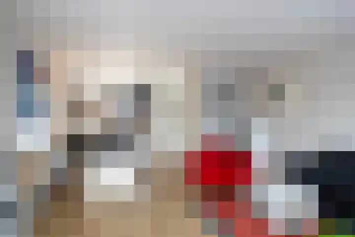 Remus 162 Wijk bij Duurstede thumbnail 5