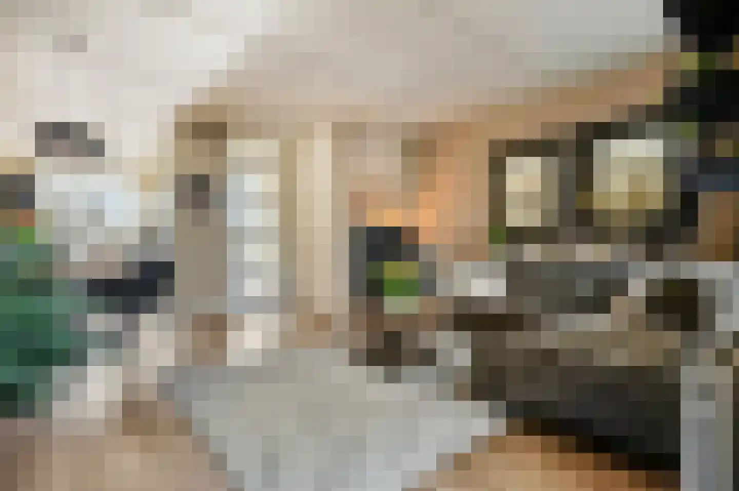 Remus 168 Wijk bij Duurstede thumbnail 7