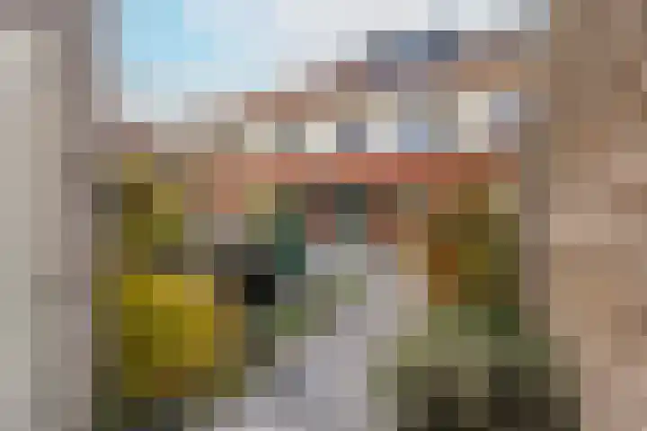 Remus 186 in Wijk bij Duurstede