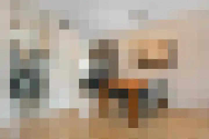 Remus 186 Wijk bij Duurstede thumbnail 11