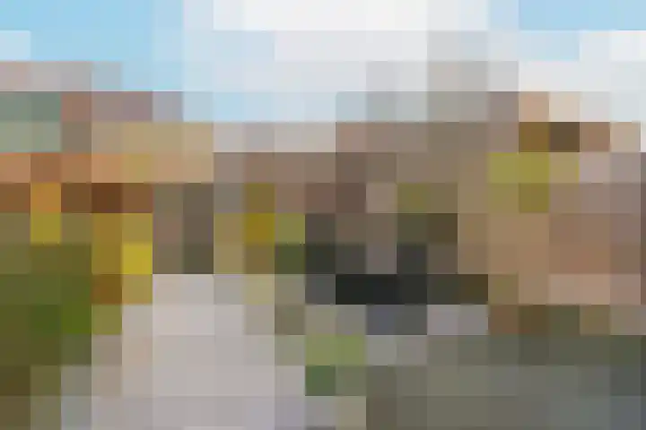 Remus 186 Wijk bij Duurstede thumbnail 17
