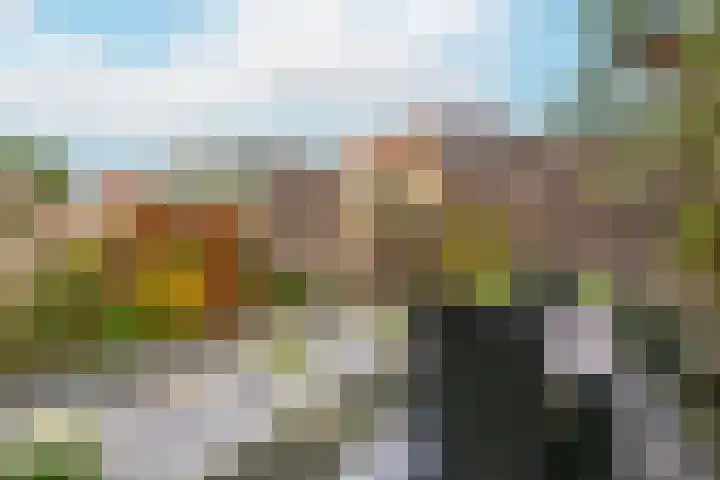 Remus 186 Wijk bij Duurstede thumbnail 18