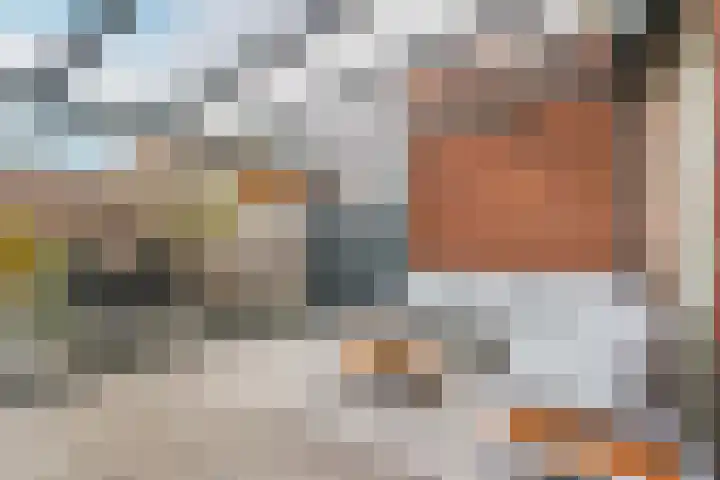 Remus 186 Wijk bij Duurstede thumbnail 20