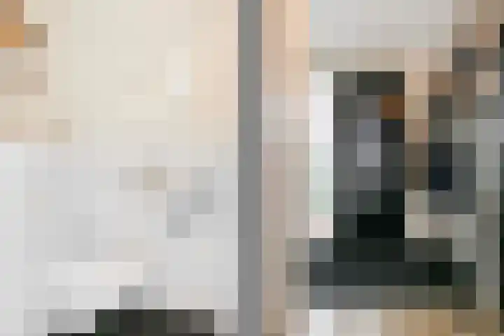 Remus 186 Wijk bij Duurstede thumbnail 22