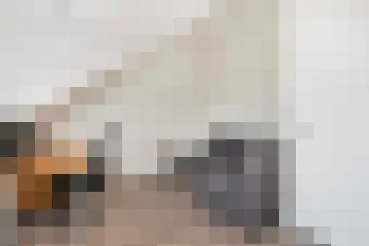 Remus 186 Wijk bij Duurstede thumbnail 34
