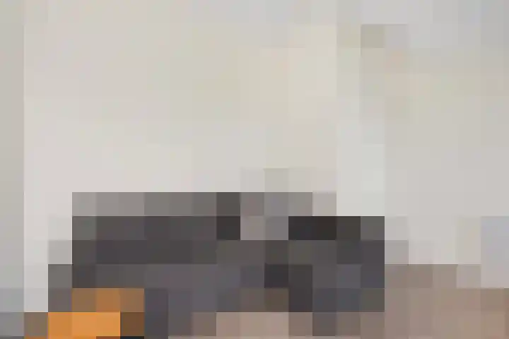Remus 186 Wijk bij Duurstede thumbnail 36