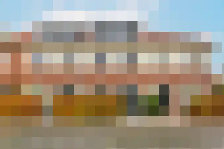 Remus 186 Wijk bij Duurstede thumbnail 4