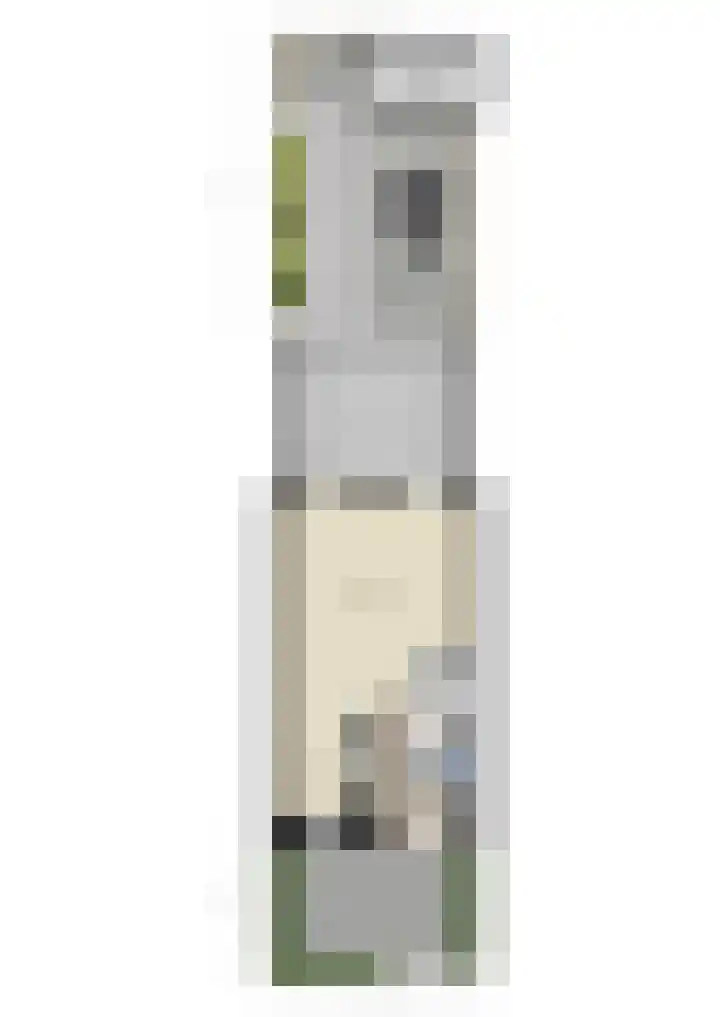 Remus 186 Wijk bij Duurstede thumbnail 56