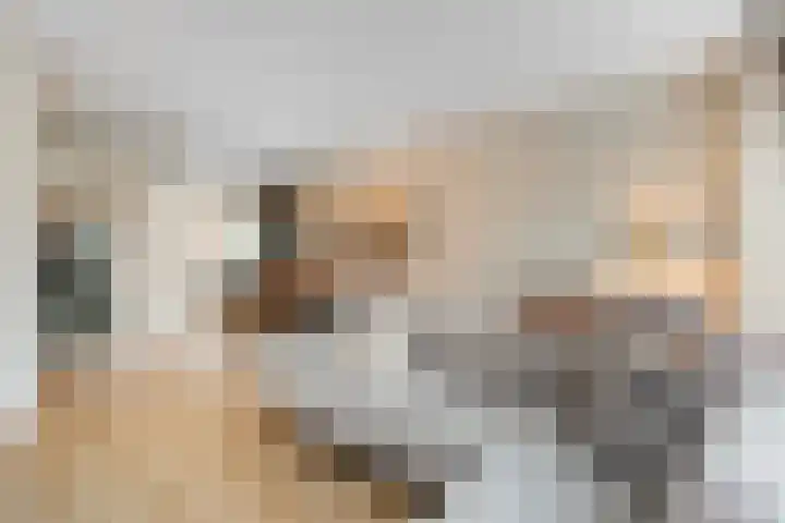 Remus 186 Wijk bij Duurstede thumbnail 9