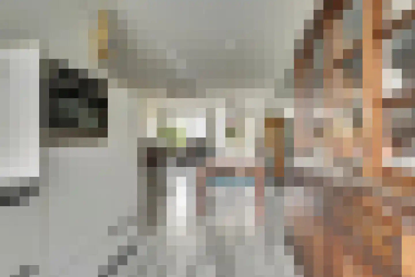 Remus 198 Wijk bij Duurstede thumbnail 10