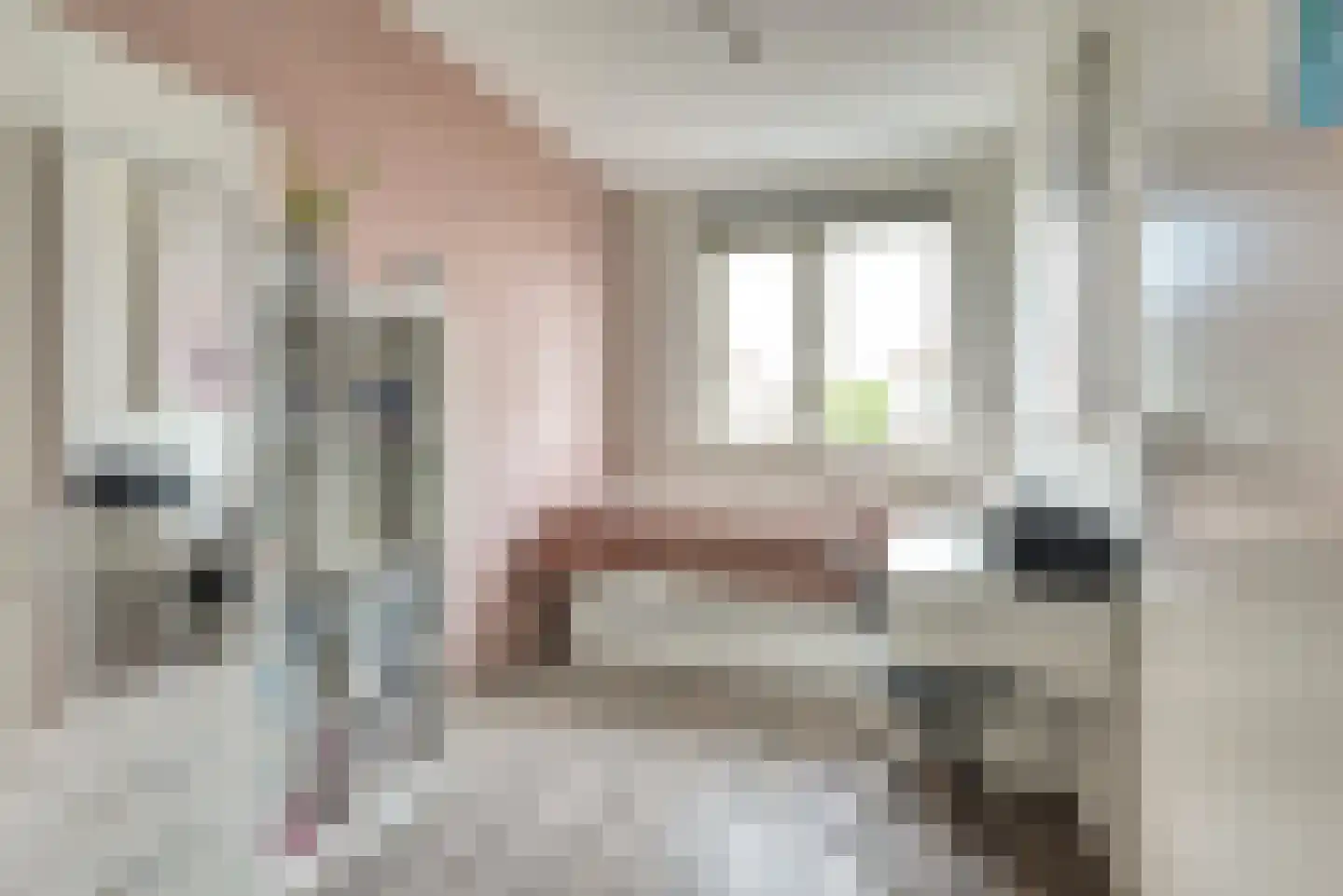 Remus 198 Wijk bij Duurstede thumbnail 16