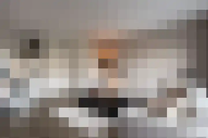 Remus 206 Wijk bij Duurstede thumbnail 11