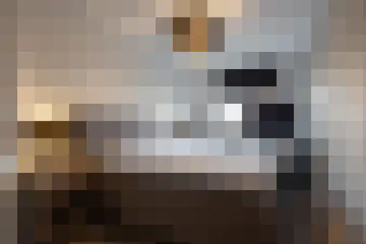 Remus 206 Wijk bij Duurstede thumbnail 15
