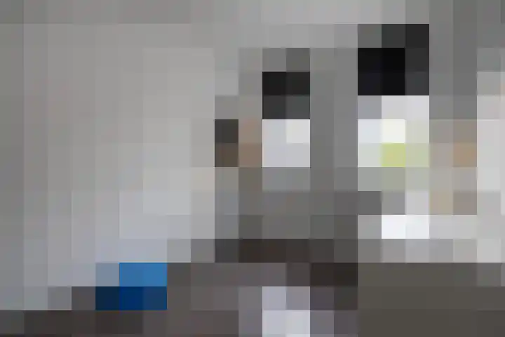 Remus 206 Wijk bij Duurstede thumbnail 16