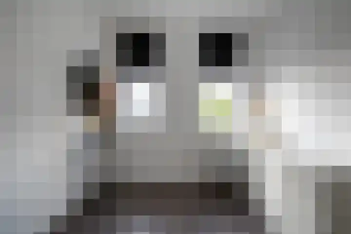Remus 206 Wijk bij Duurstede thumbnail 17
