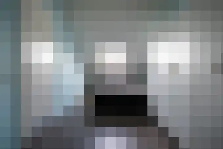 Remus 206 Wijk bij Duurstede thumbnail 23