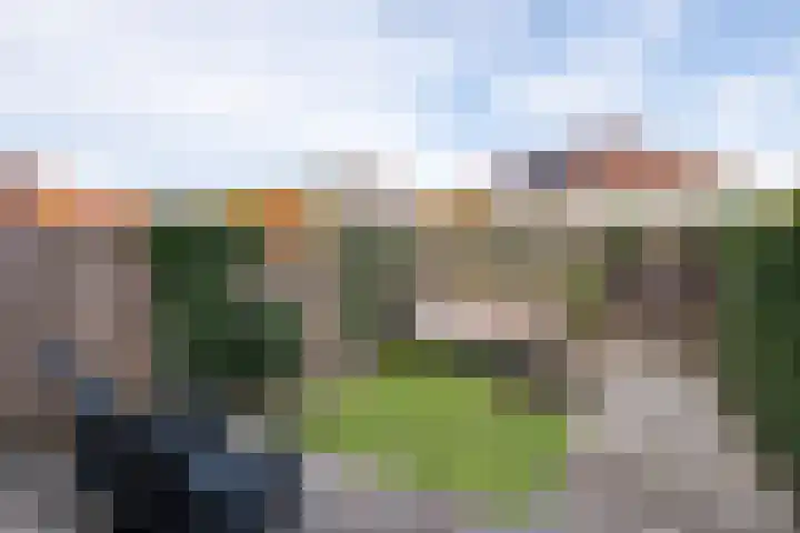 Remus 206 Wijk bij Duurstede thumbnail 28