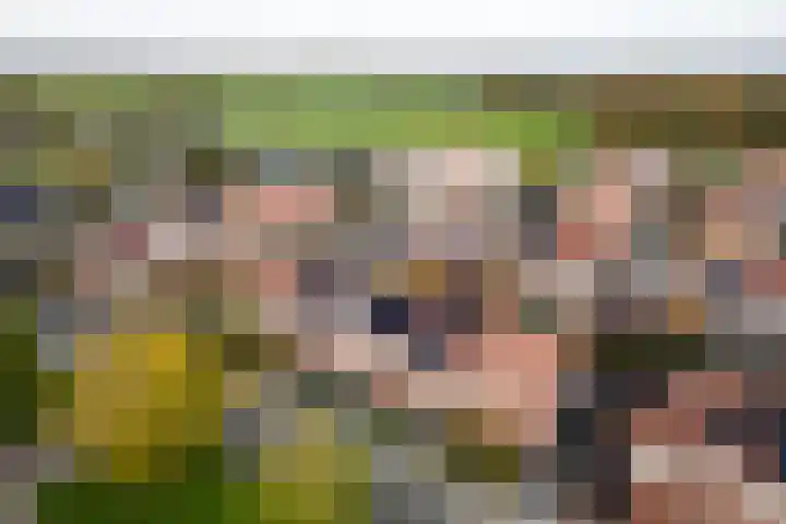 Remus 206 Wijk bij Duurstede thumbnail 32