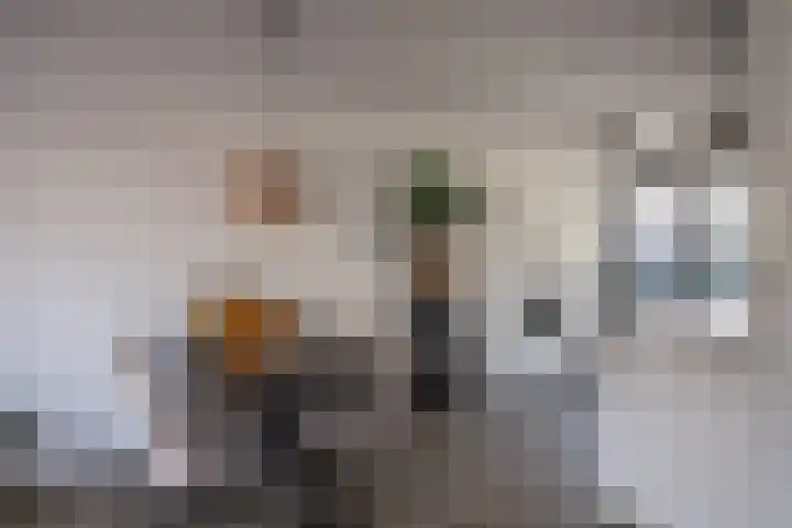 Remus 206 Wijk bij Duurstede thumbnail 7