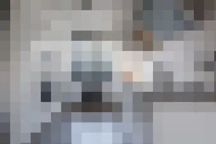 Remus 206 Wijk bij Duurstede thumbnail 9