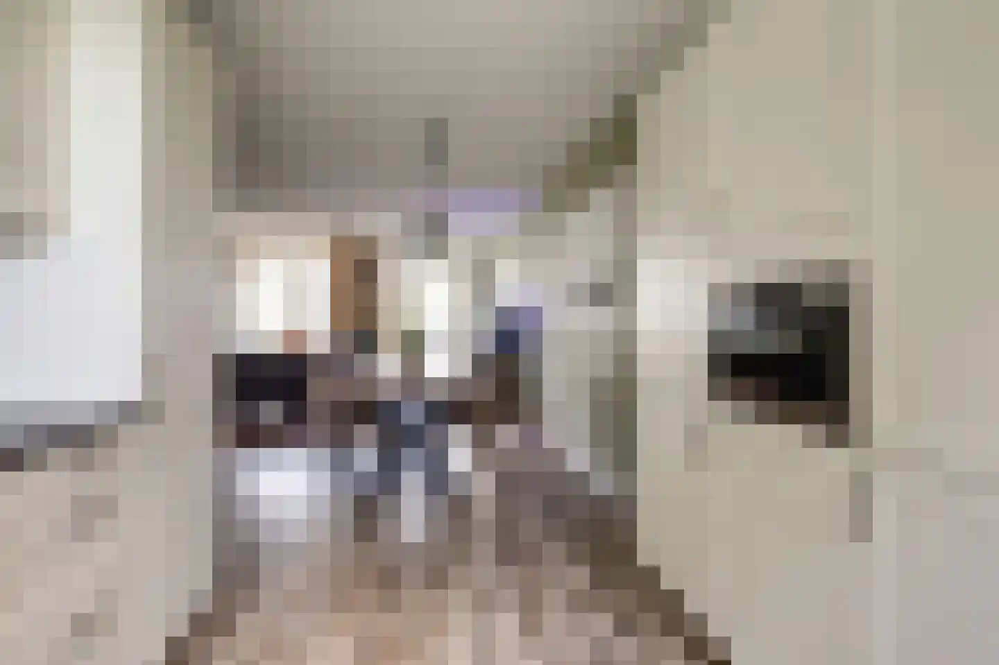 Remus 210 Wijk bij Duurstede thumbnail 12