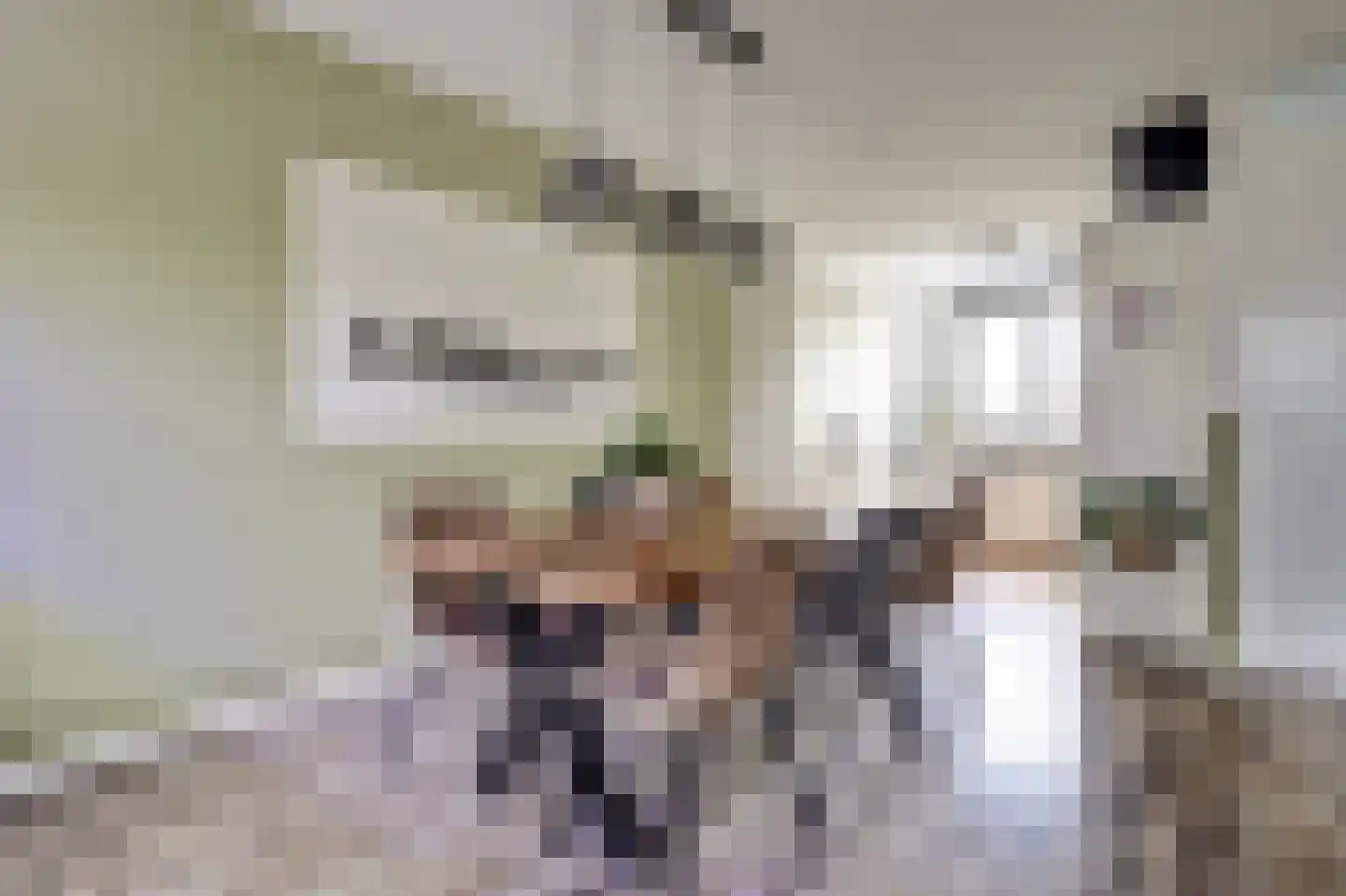 Remus 210 Wijk bij Duurstede thumbnail 13