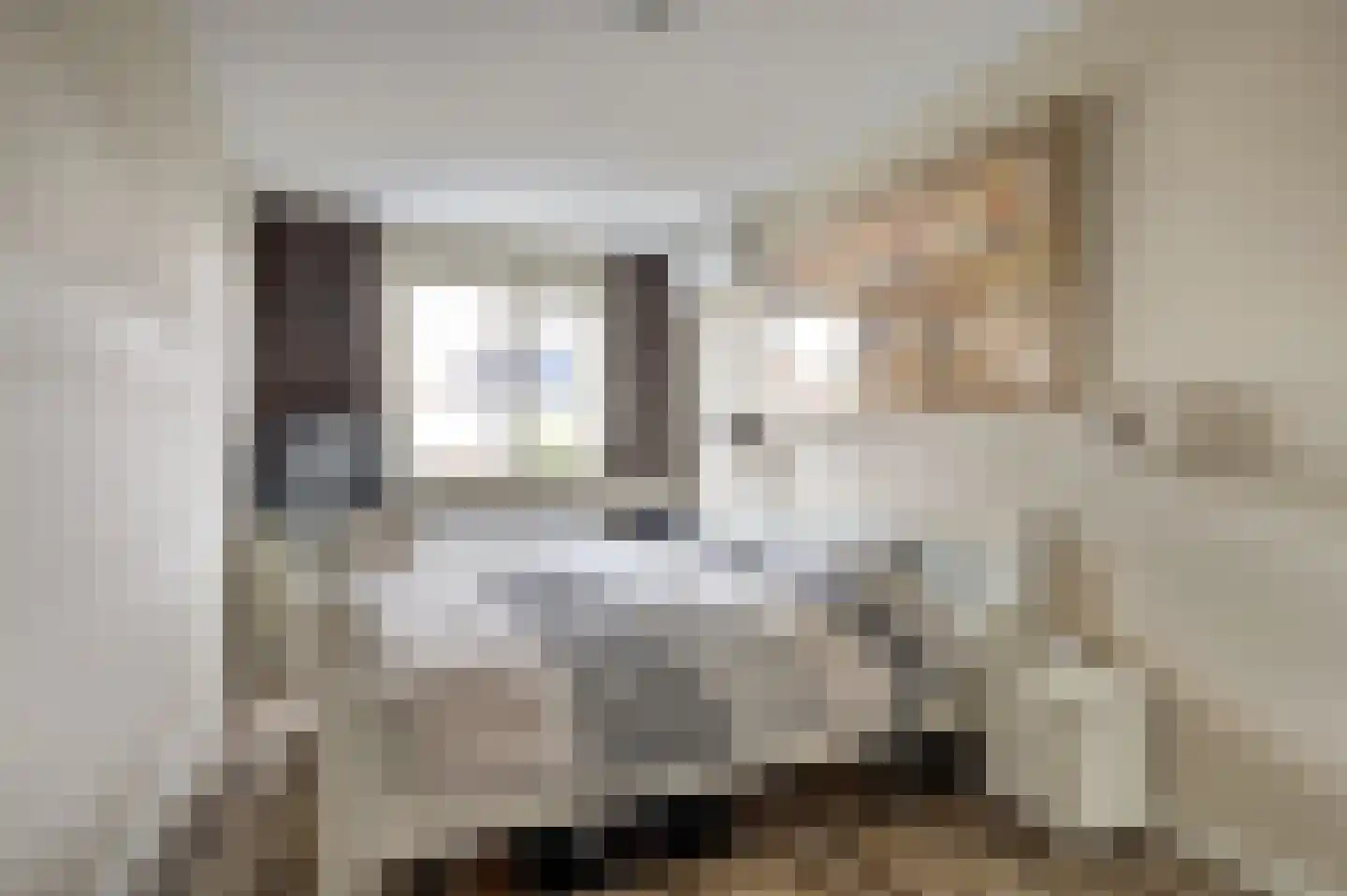 Remus 210 Wijk bij Duurstede thumbnail 17