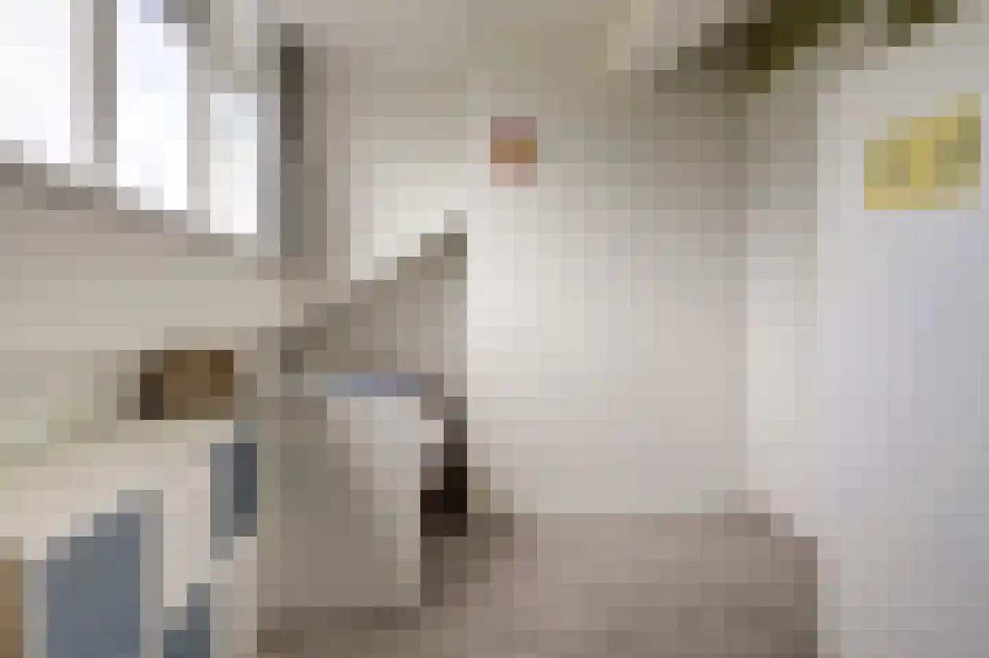 Remus 210 Wijk bij Duurstede thumbnail 29