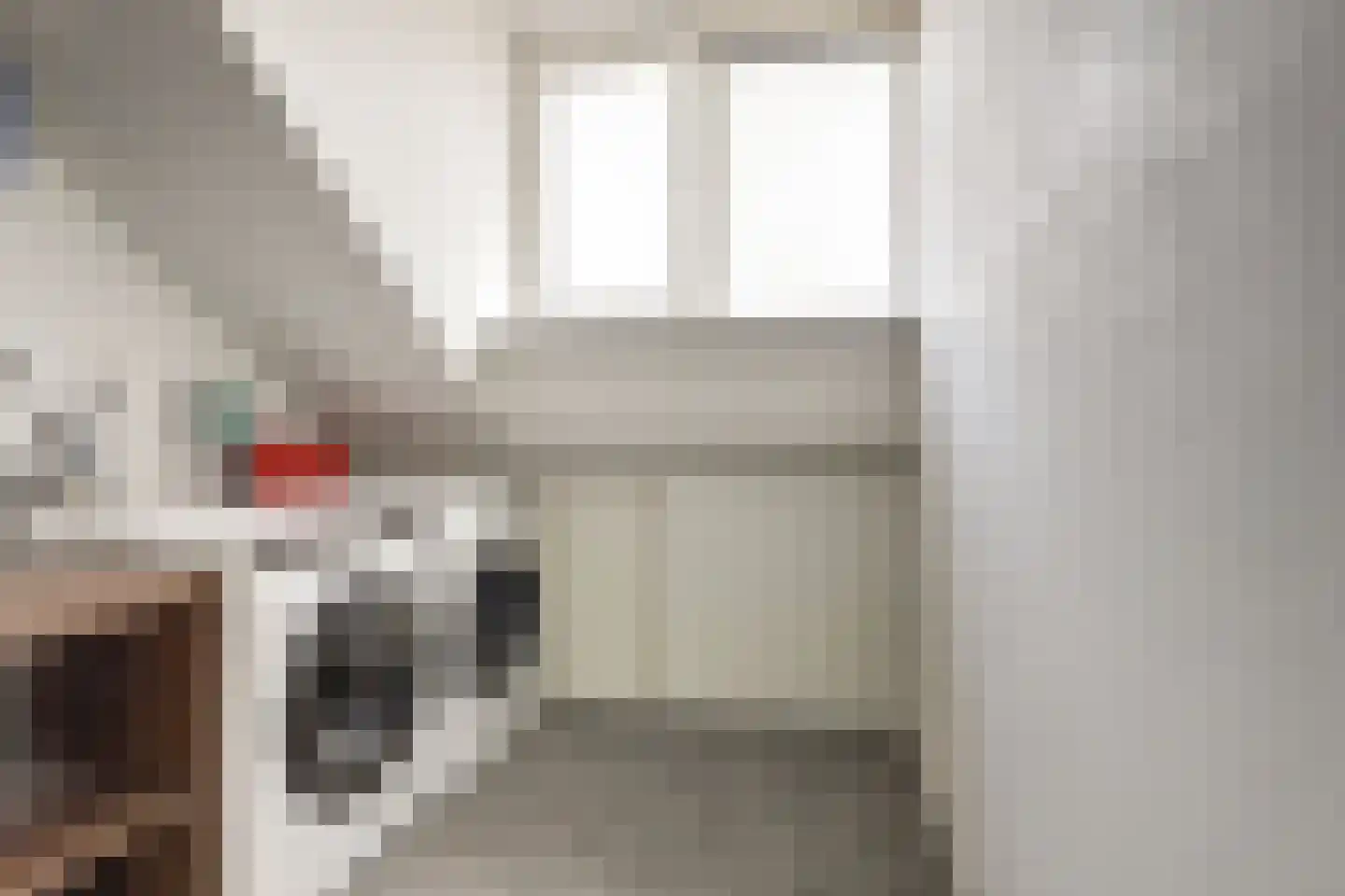 Remus 210 Wijk bij Duurstede thumbnail 32