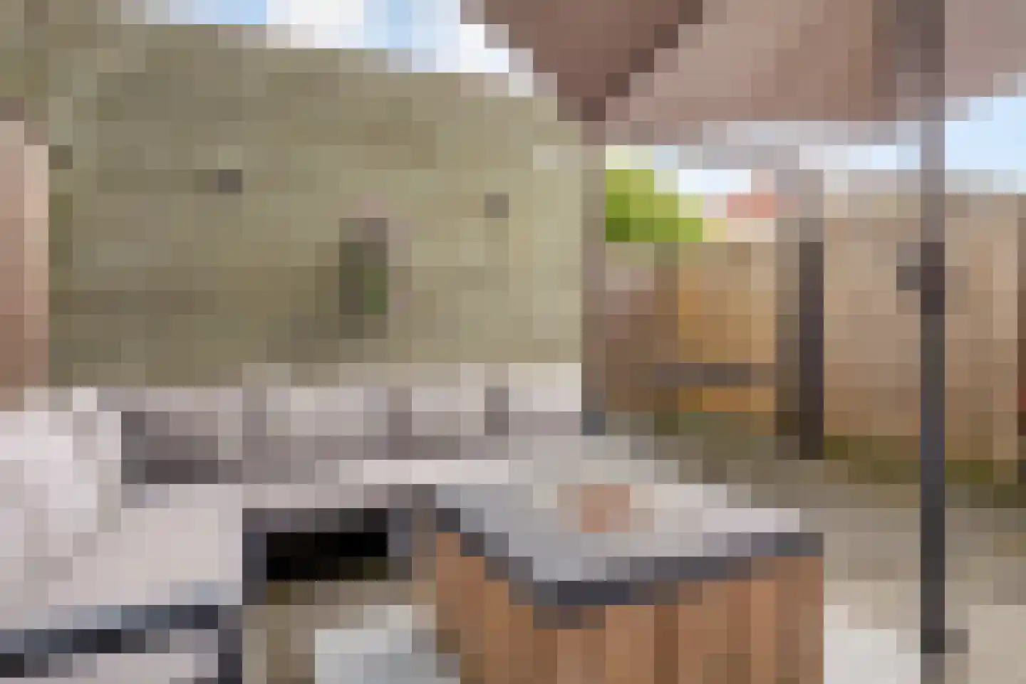 Remus 210 Wijk bij Duurstede thumbnail 36