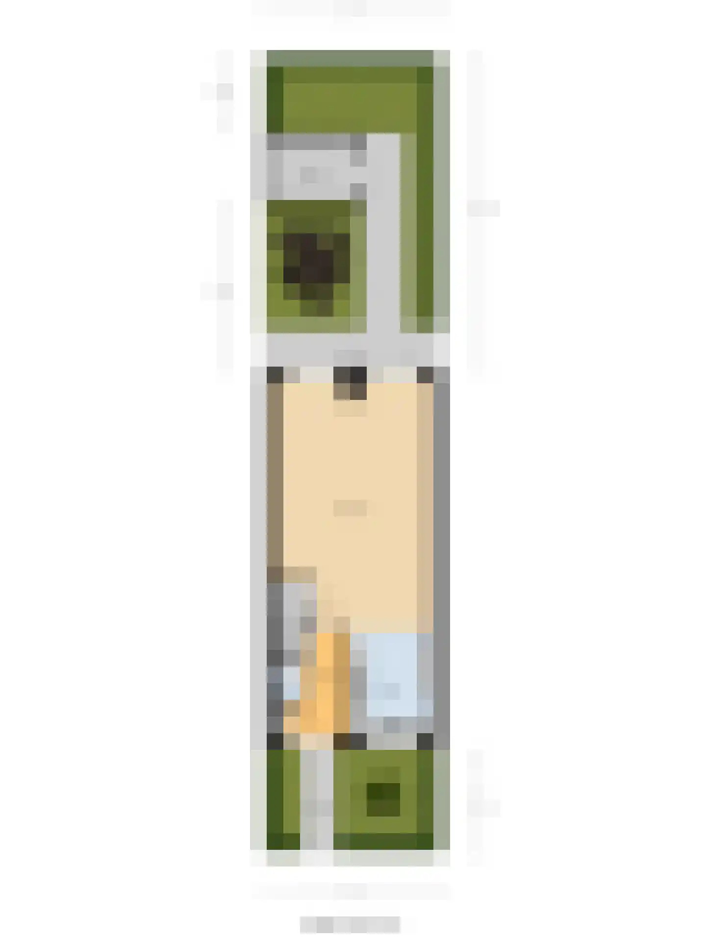 Remus 210 Wijk bij Duurstede thumbnail 37