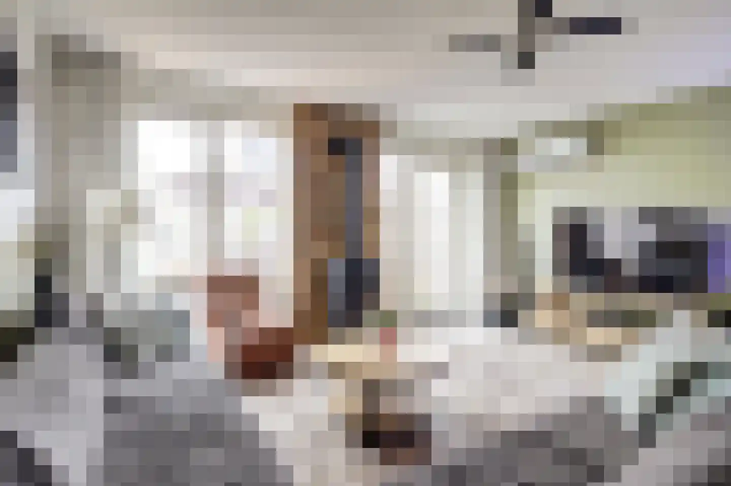 Remus 210 Wijk bij Duurstede thumbnail 6