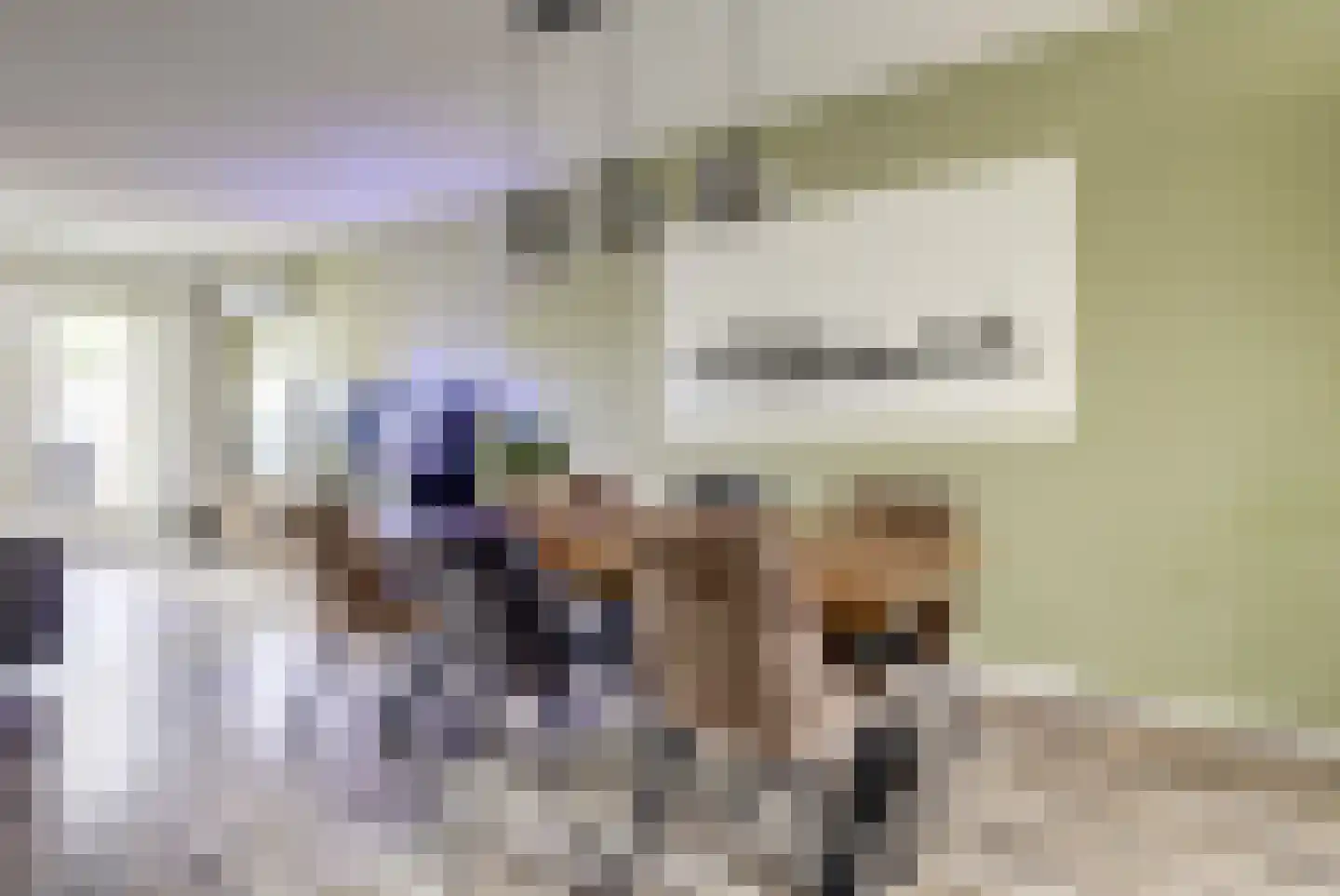 Remus 210 Wijk bij Duurstede thumbnail 7
