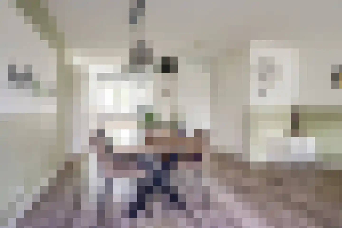 Remus 210 Wijk bij Duurstede thumbnail 8