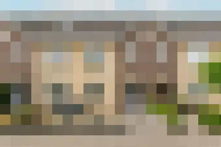 Remus 29 Wijk bij Duurstede