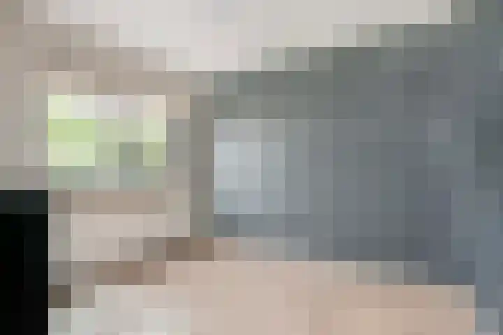 Remus 29 Wijk bij Duurstede thumbnail 16