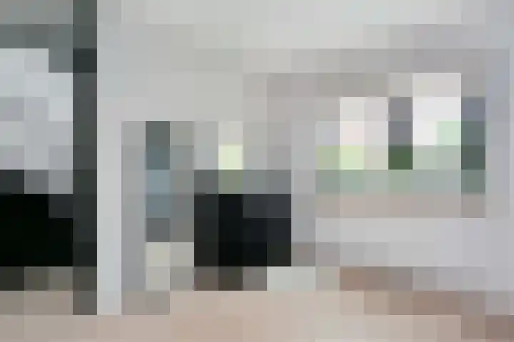 Remus 29 Wijk bij Duurstede thumbnail 17