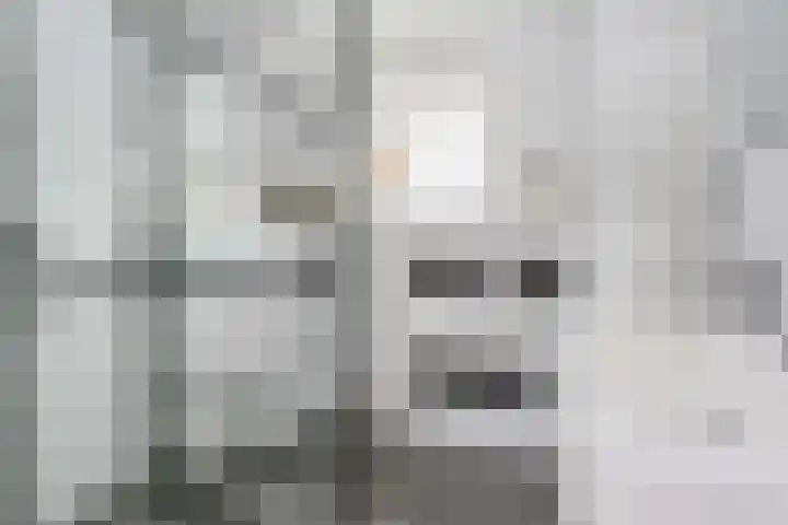 Remus 29 Wijk bij Duurstede thumbnail 18