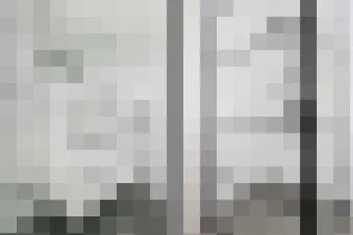 Remus 29 Wijk bij Duurstede thumbnail 19